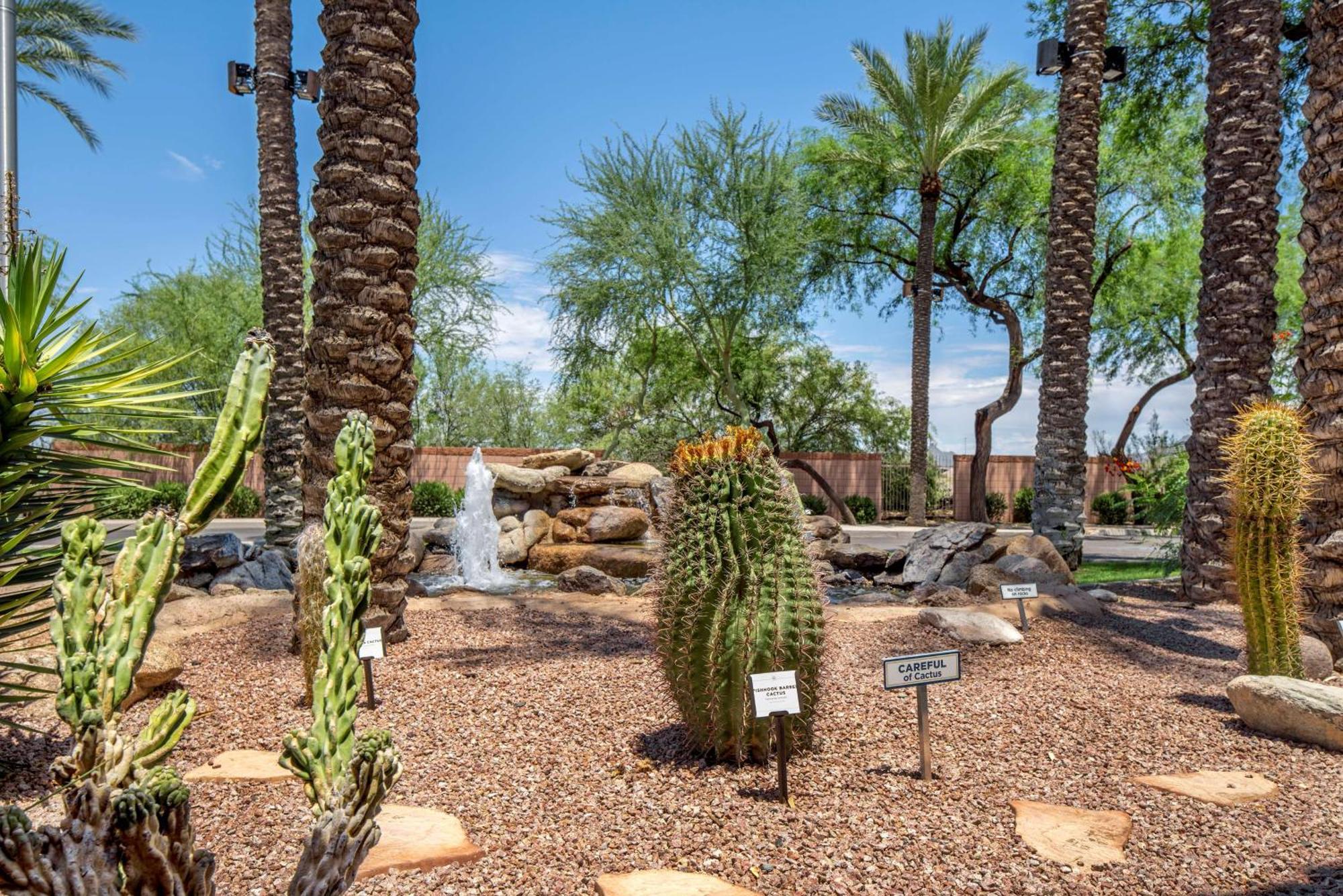 Hilton Vacation Club Scottsdale Villa Mirage Exterior photo